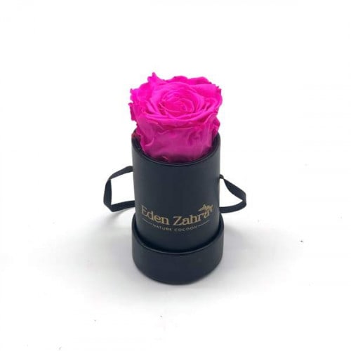 Étoile Fuschia